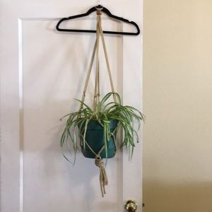 Hanging Planter